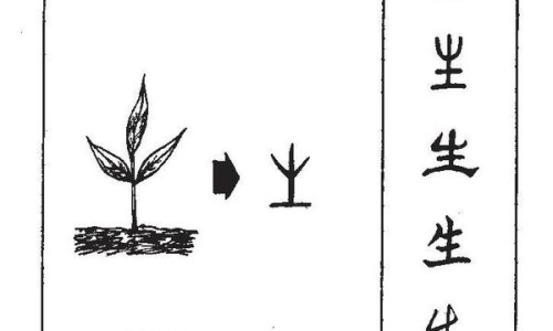 芝麻香油的脂肪含量网-分享芝麻香油混合蜂蜜喝可以治便秘吗，芝麻香油混合蜂蜜喝可以治便秘吗知识库